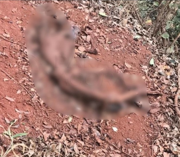 Ossada humana é encontrada às margens da BR-354, próximo ao distrito de Chaves, em Rio Paranaíba
