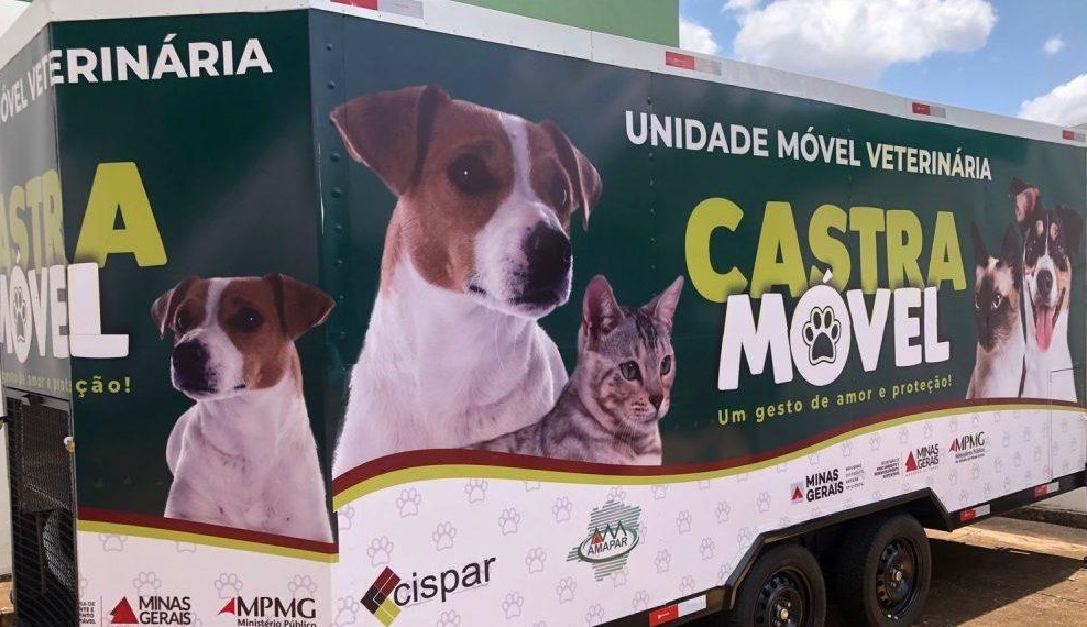 Castra Móvel oferece castração gratuita para cães e gatos em Presidente Olegário; veja como participar
