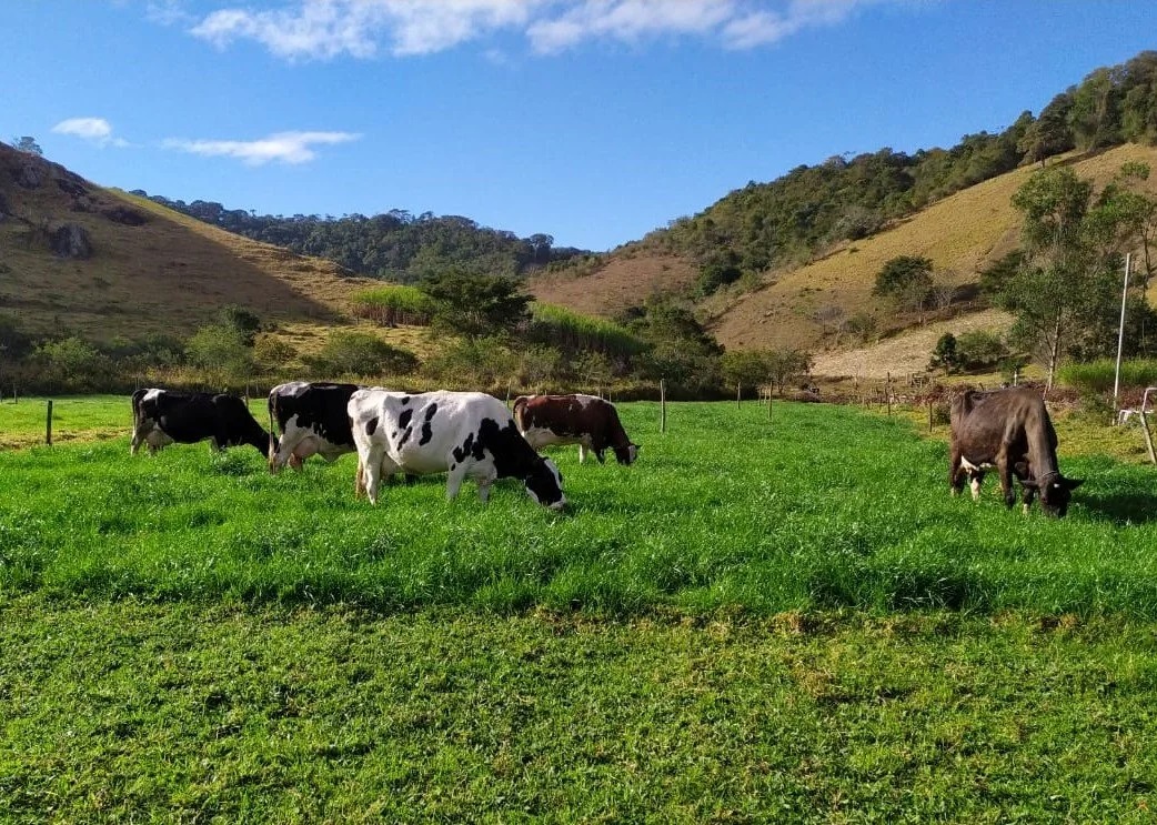 Emater-MG orienta pecuaristas com cartilha sobre construção de cercas elétricas para manejo do rebanho