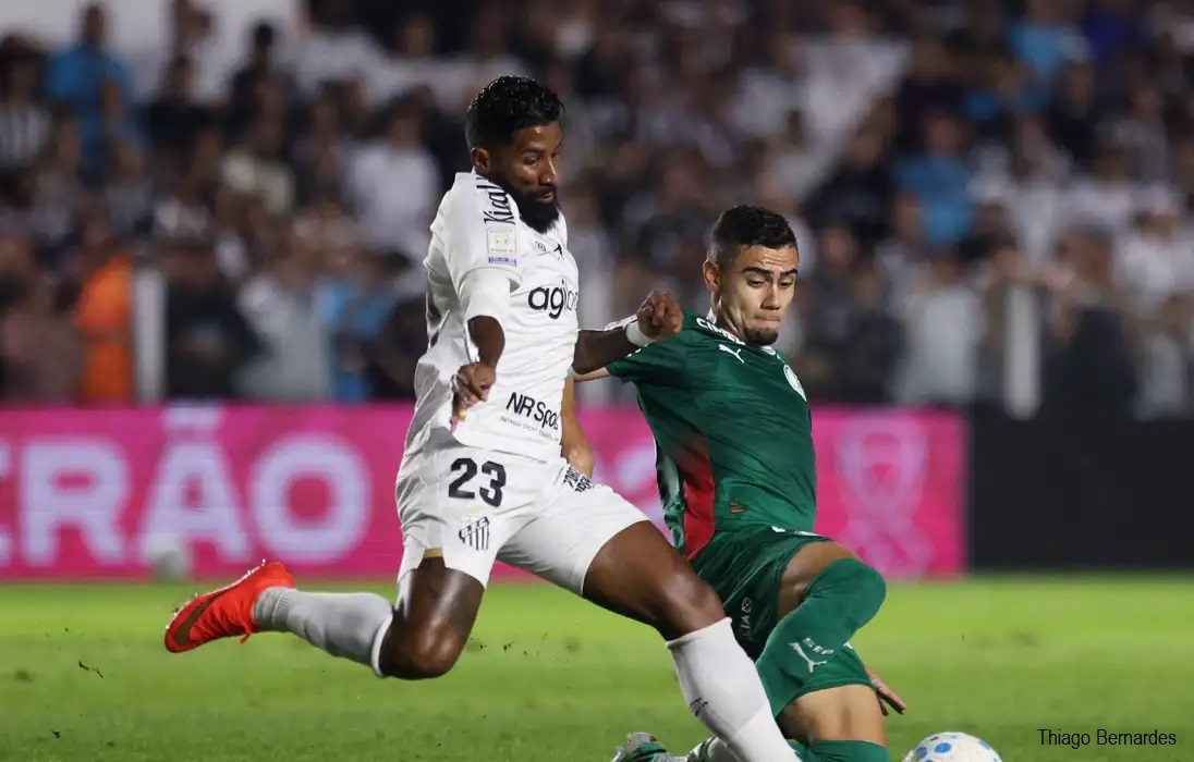 Brasileirão: Palmeiras fica no zero com o Santos e Flamengo agradece
